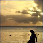 C&D Cafe' Bistro' Design